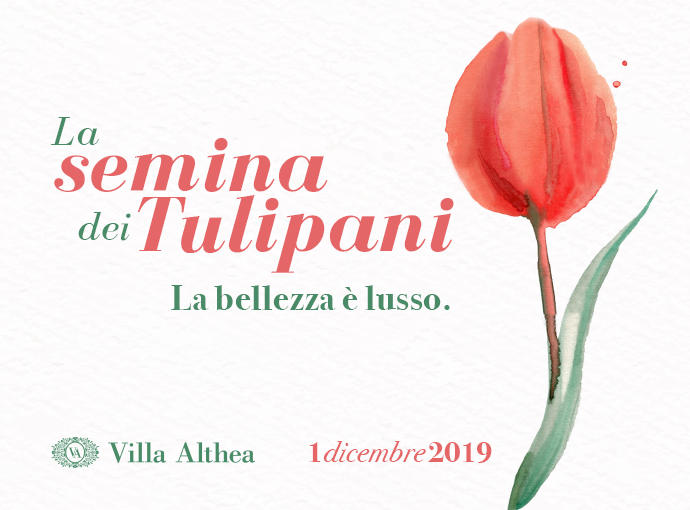 La Semina dei Tulipani 2019