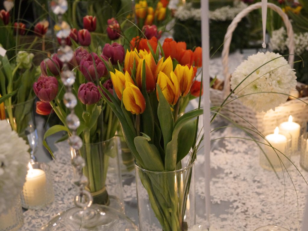 [:it]tulipani colorati[:]