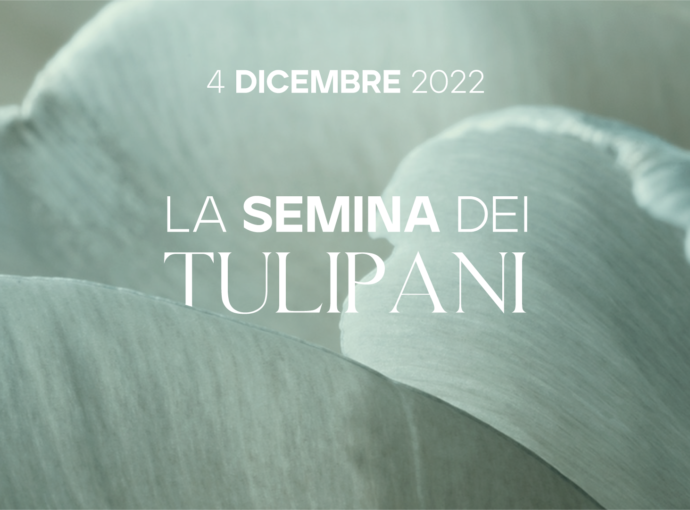 Semina dei Tulipani 2022: l’evento più amato di Villa Althea